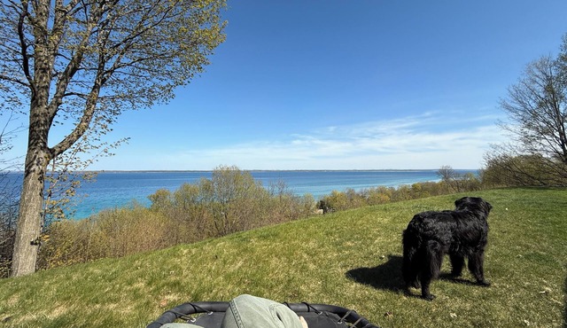 Violet’s View — Where Pets & People Vacation in Suttons Bay