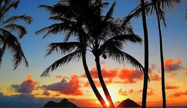 Waikiki studio USD68.00 per day in Honolulu