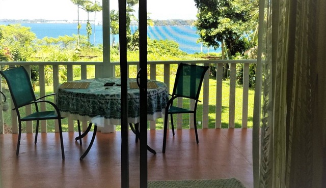 Watch ships passing from your lanai. in Hilo