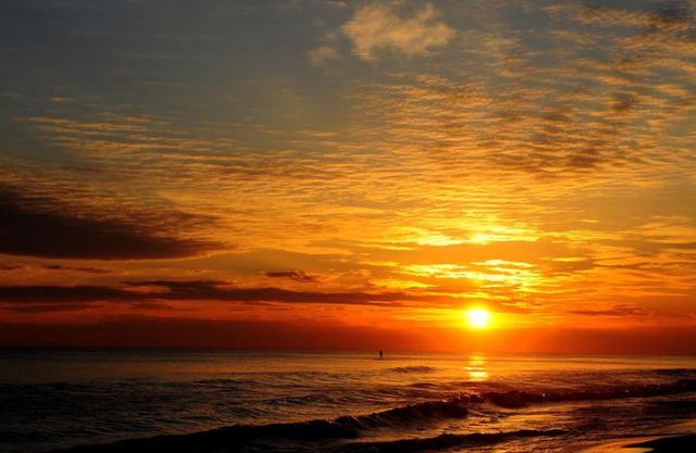 Majestic Sun 809a 1 Bedroom Condo in Destin