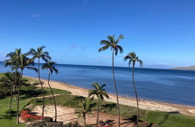 Koa Lagoon 