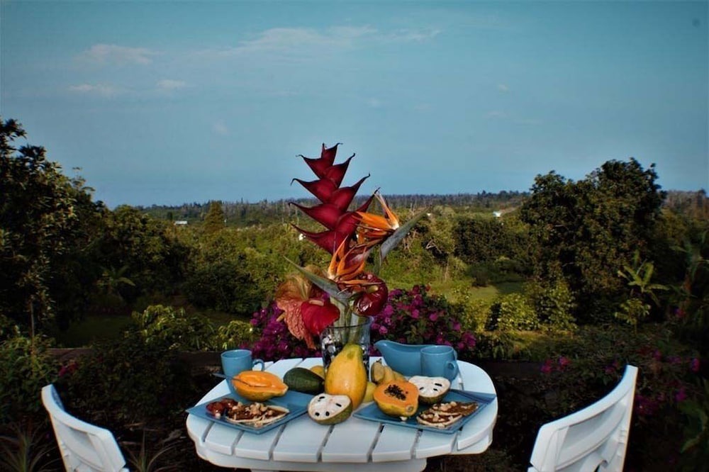 Papa Apartment | Stunning 180 degree Ocean Views 1 br/1 bath Studio on a 100% South Kona Farm