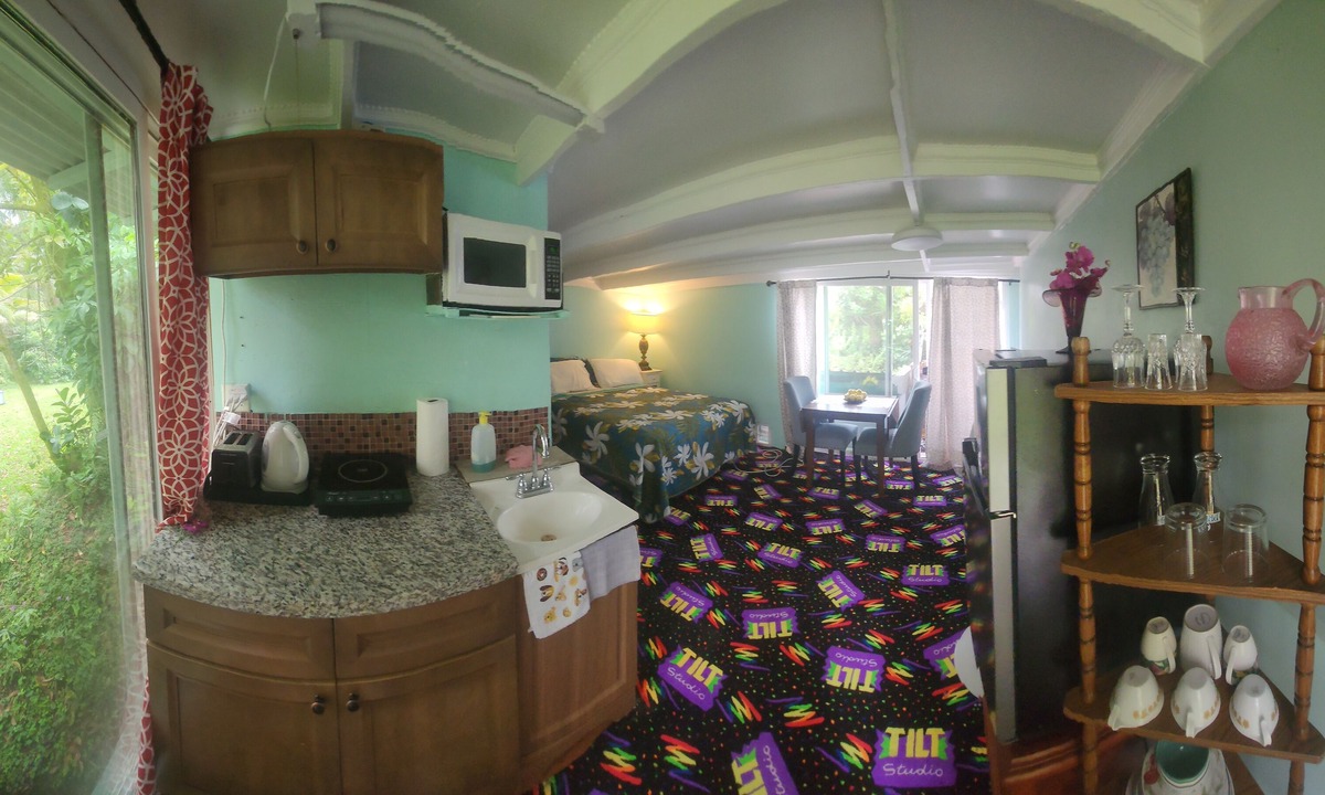 Keaau Apartment | Spacious studio apartment with your own entrance