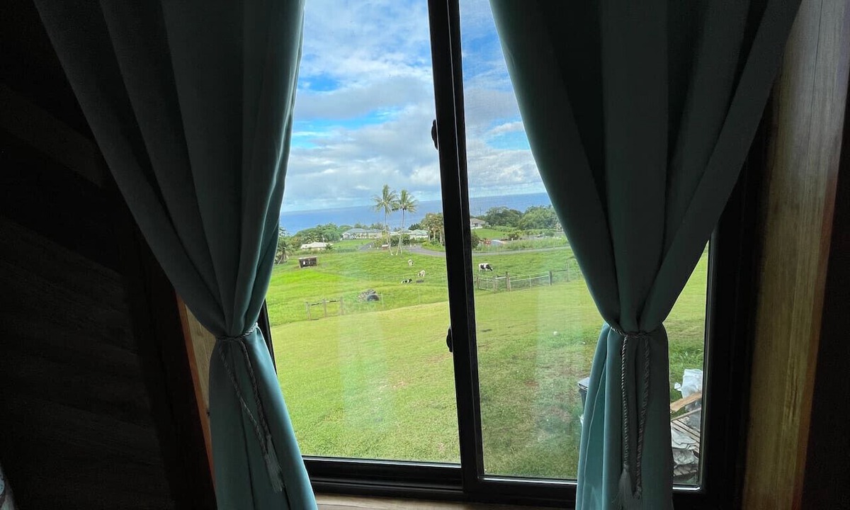 Hilo Apartment | Magic Skies Main Level Living