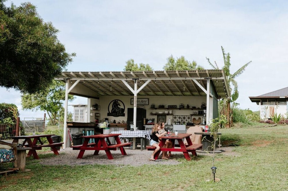 Photo of Outdoor in Hawi