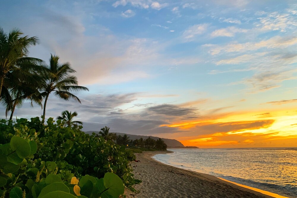 Photo of Others in Mokuleia