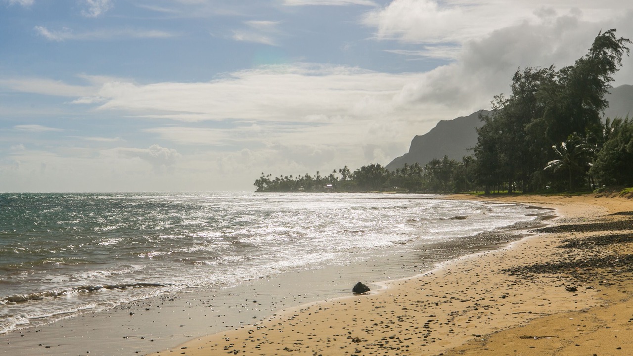 Photo of Others in Punaluu