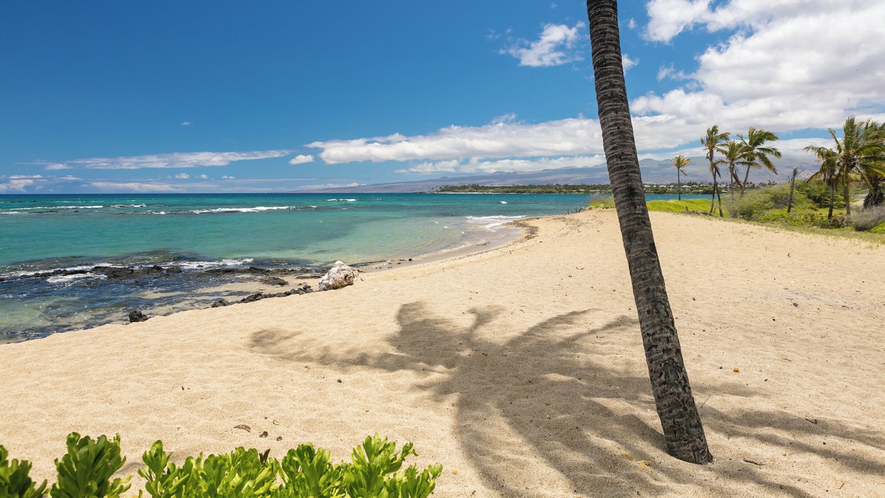 Photo of Others in Waikoloa