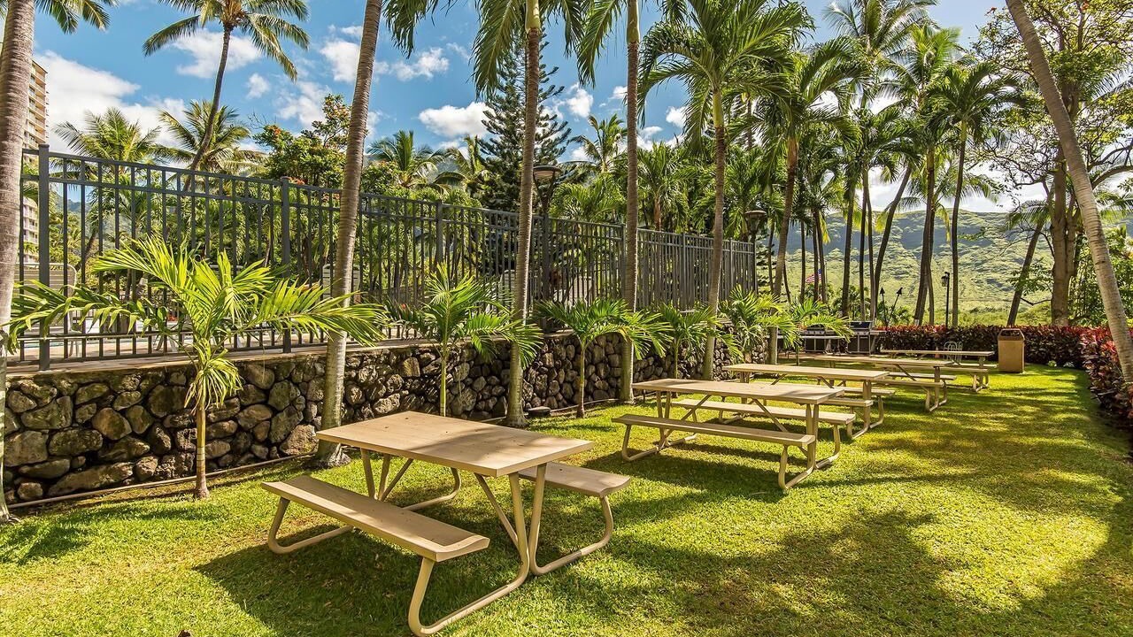 Photo of Outdoor in Makaha