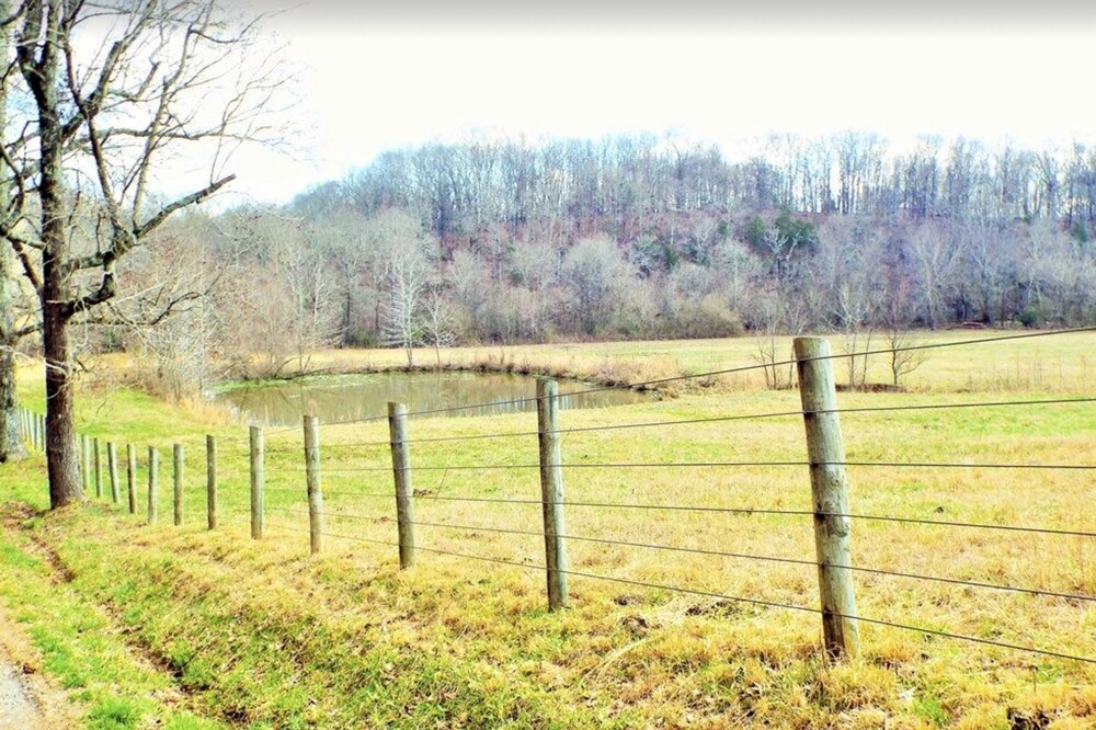 Photo of Outdoor in Killen