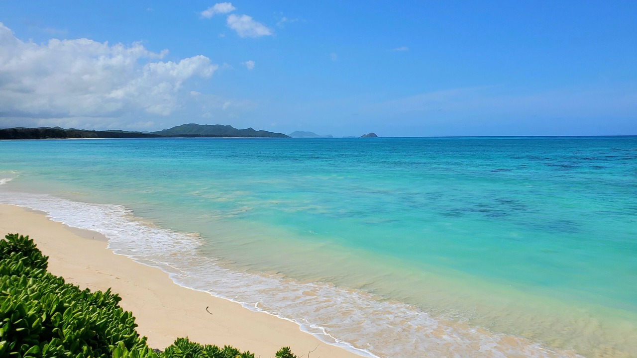 Photo of Others in Kailua