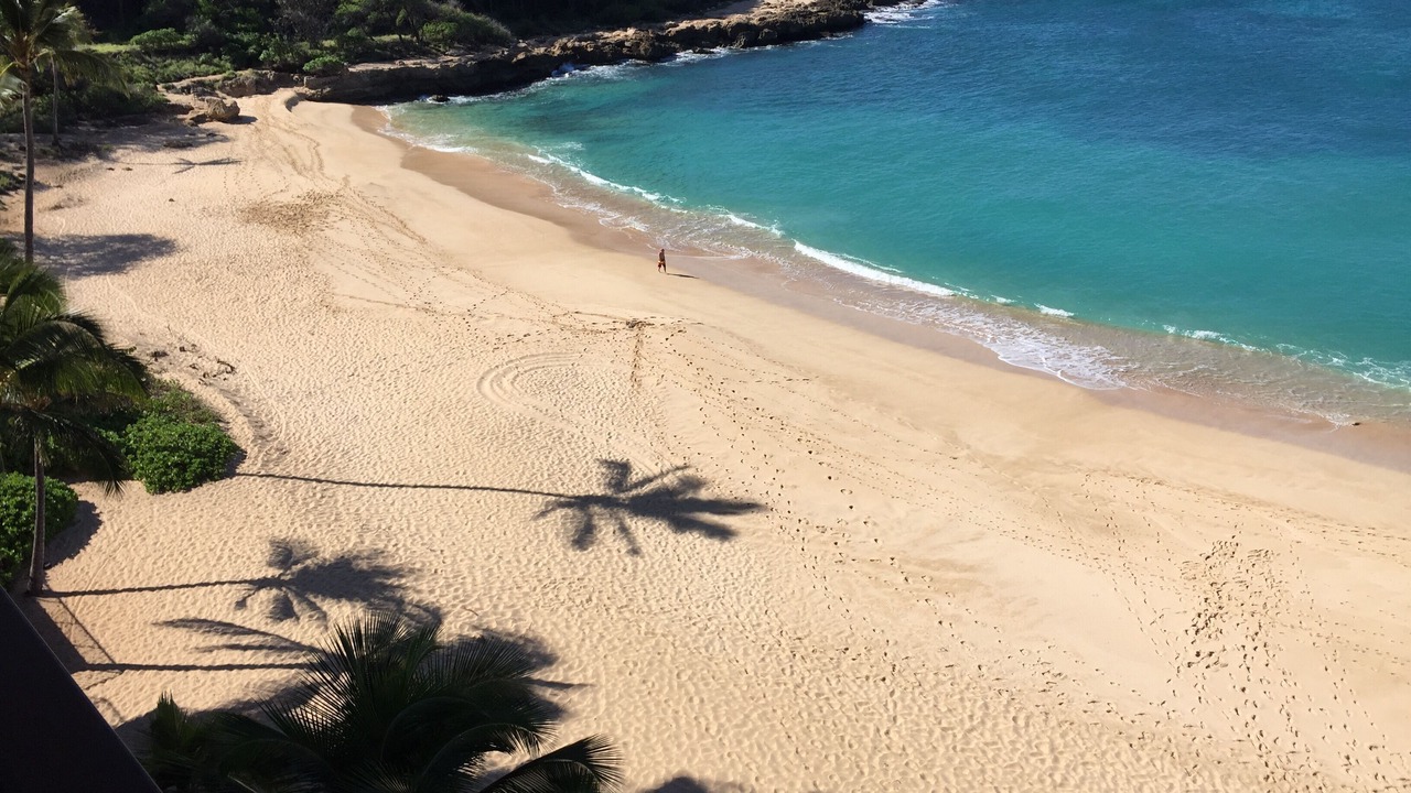 Photo of Others in Makaha