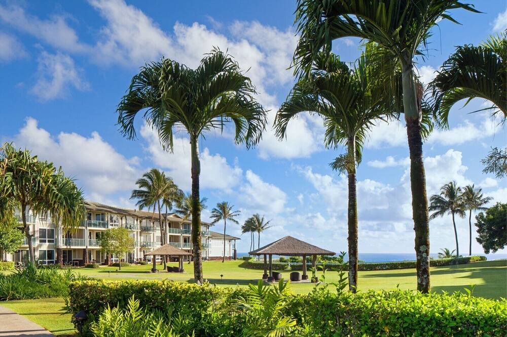Photo of Others in Princeville