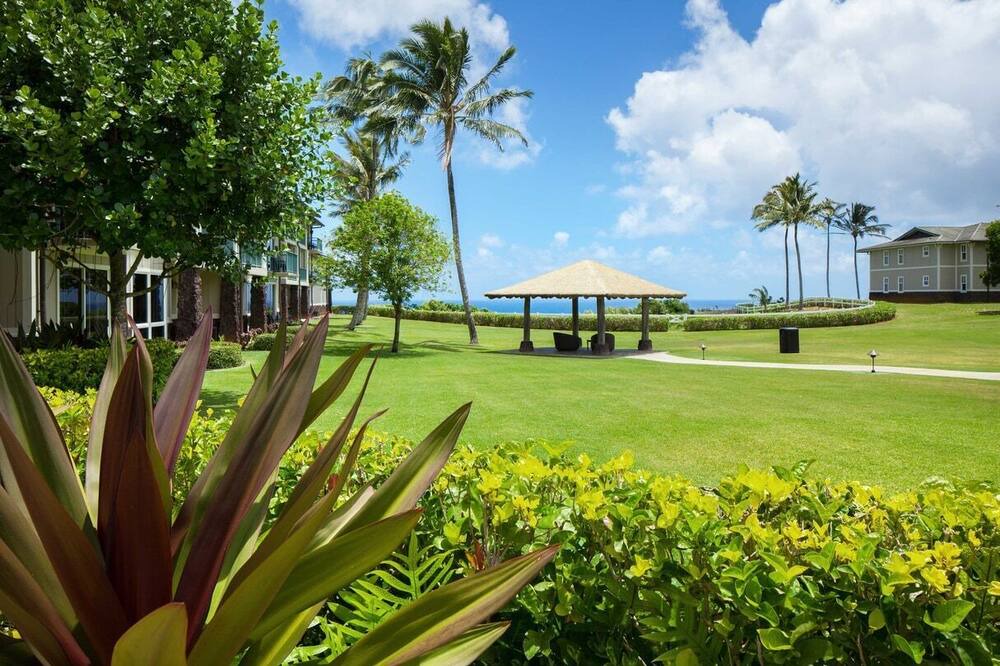 Photo of Outdoor in Princeville