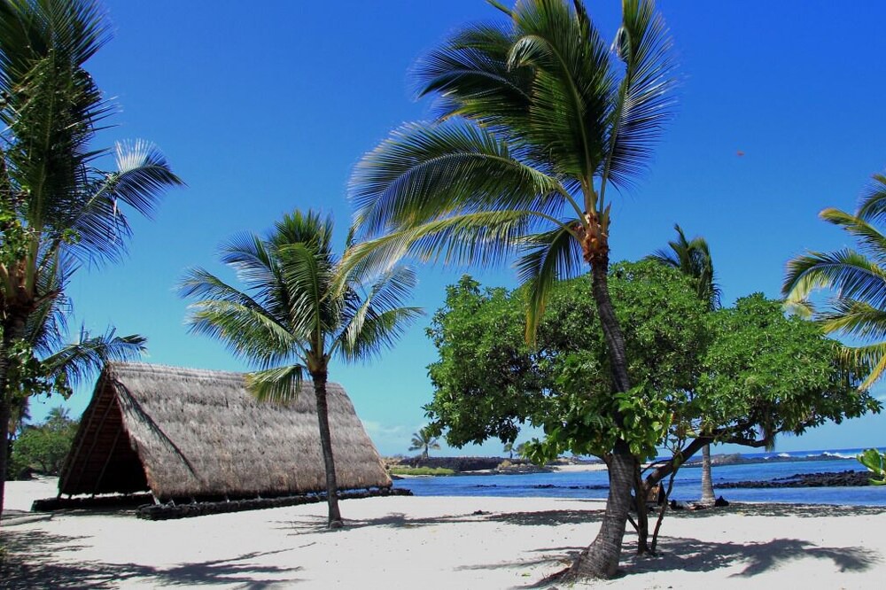 Photo of Others in Historic Kailua Village