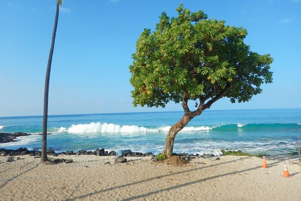 Photo of Others in Historic Kailua Village