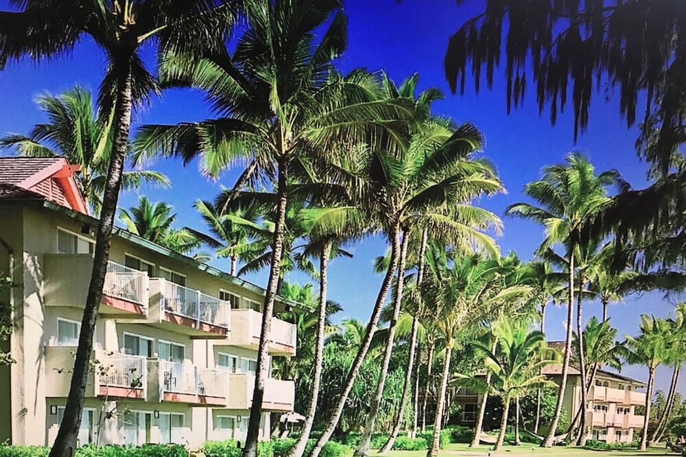 Photo of Others in Wailua