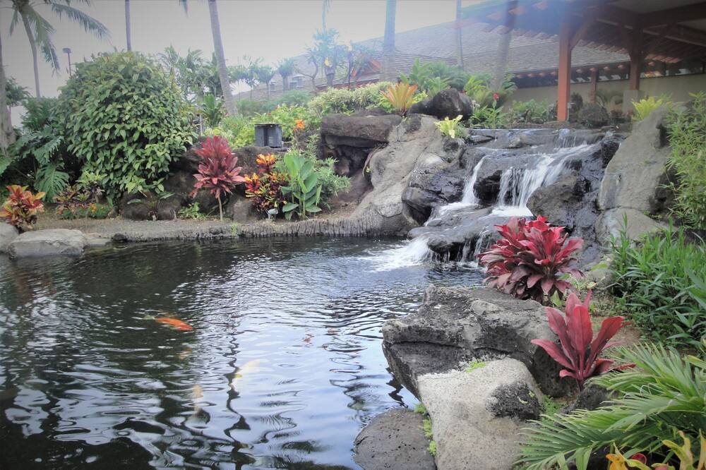 Photo of Others in Wailua
