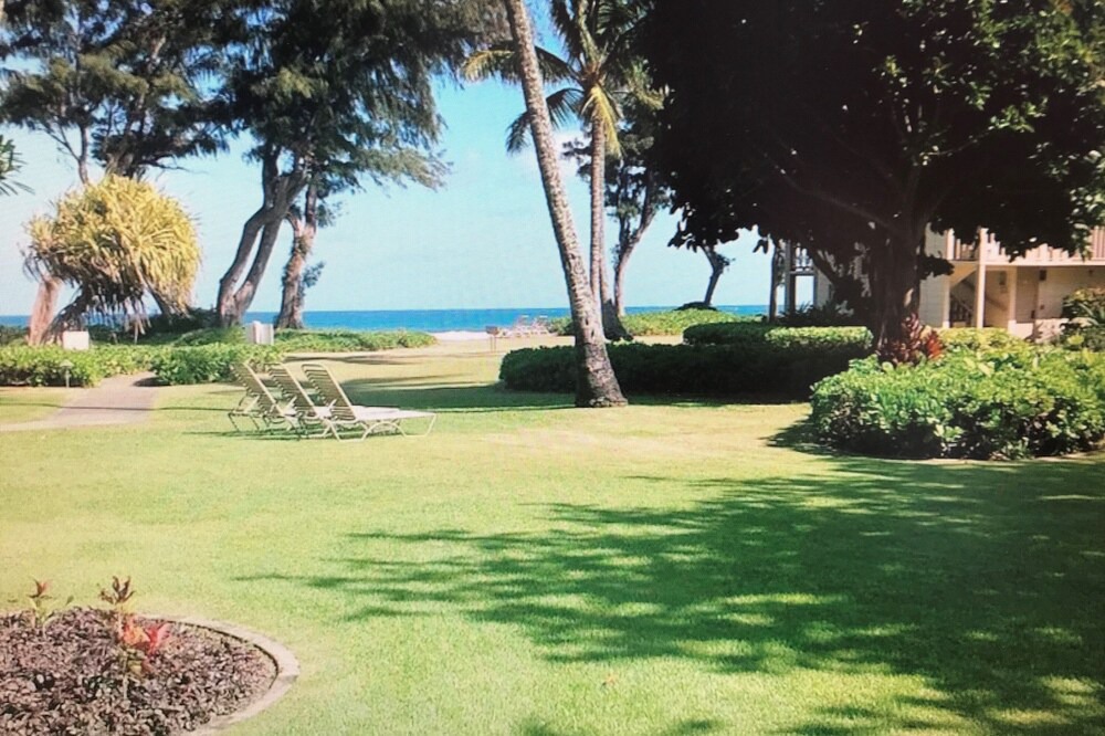 Photo of Others in Wailua