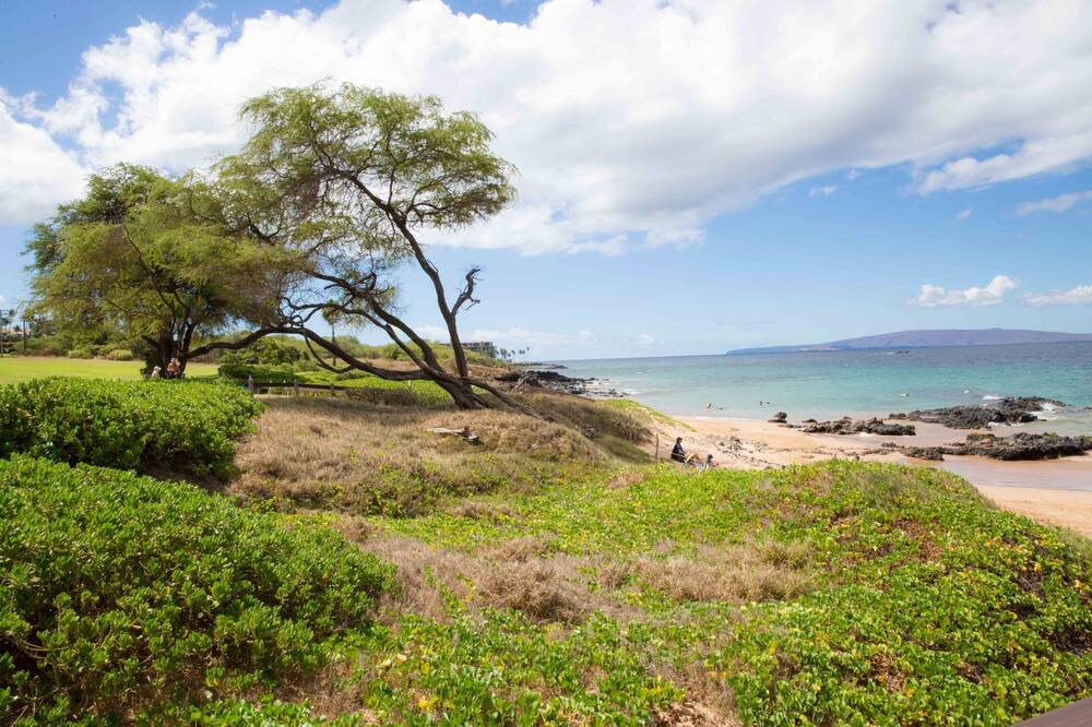 Photo of Others in Kihei