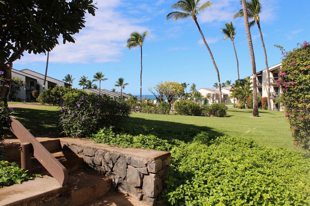Photo of Others in Kihei