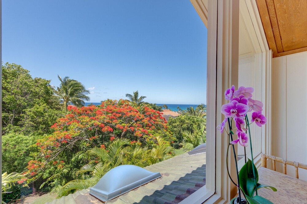 Photo of Outdoor in Poipu