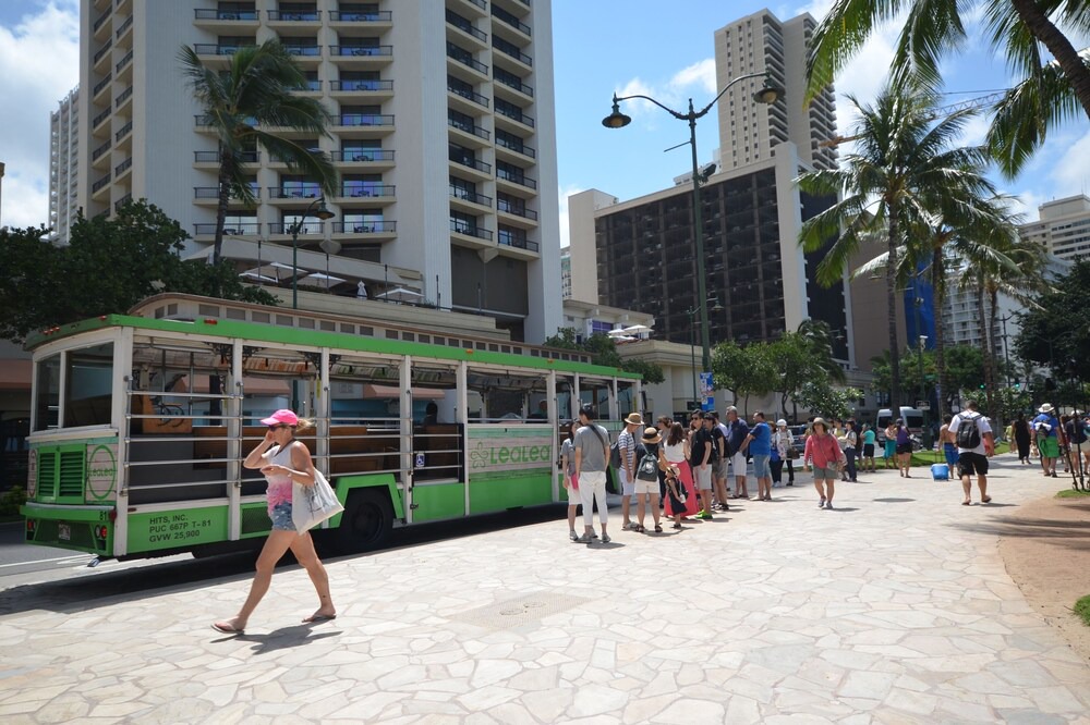 Photo of Others in Diamond Head - Kapahulu - St. Louis