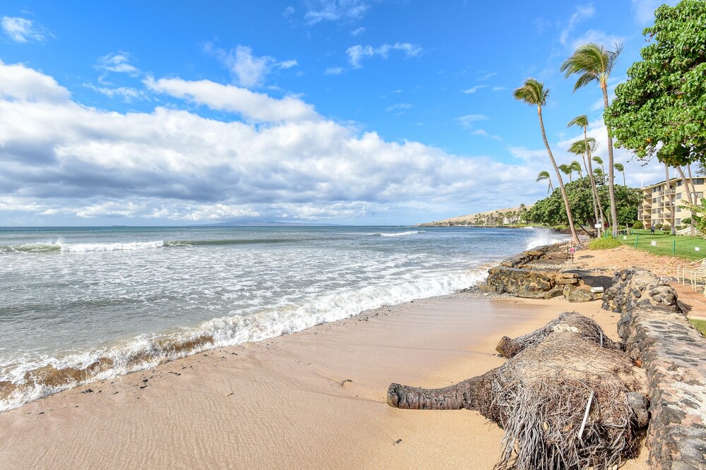 Photo of Others in Maalaea