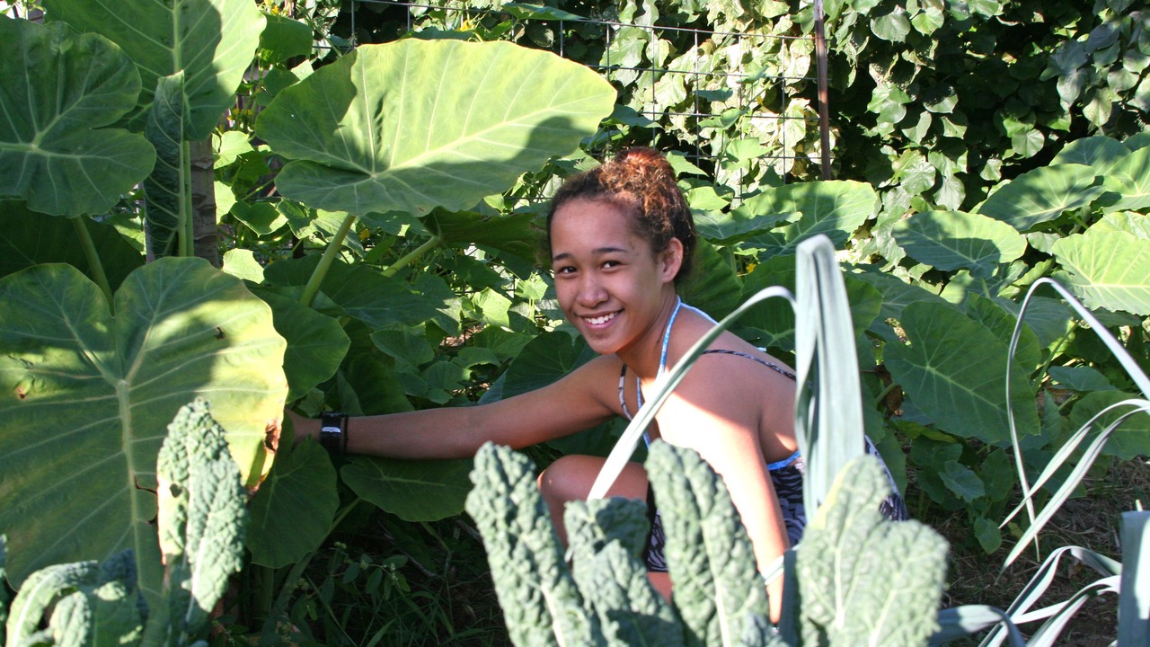 Photo of Outdoor in Kapaau