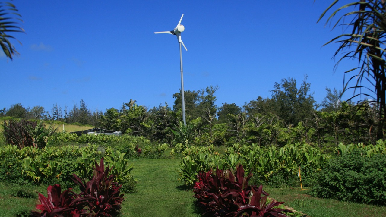 Photo of Outdoor in Kapaau