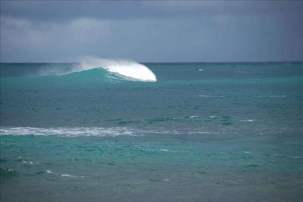 Photo of Others in Pupukea