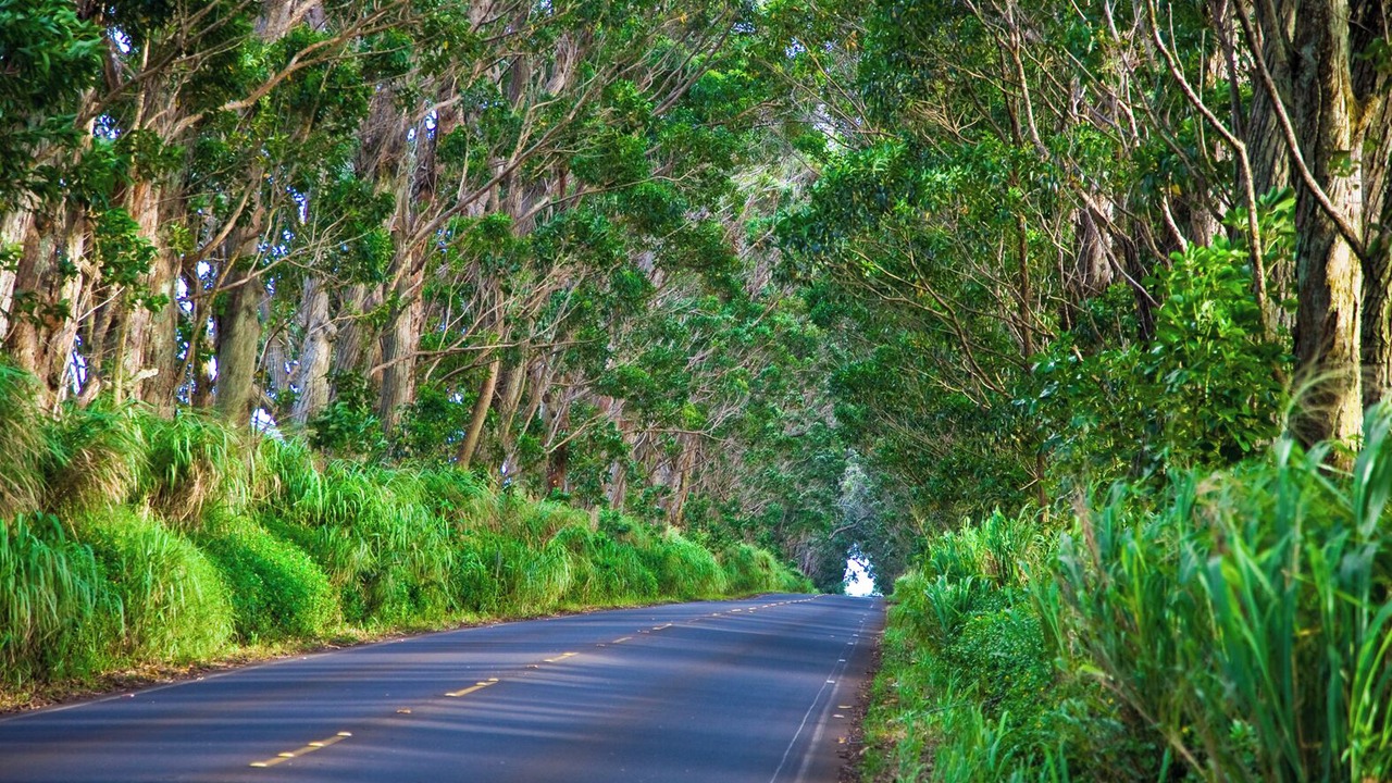 Photo of Outdoor in Anahola