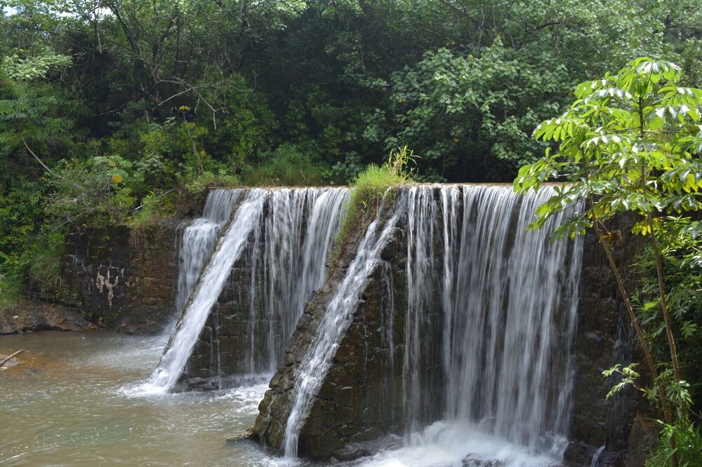 Photo of Others in Wailua