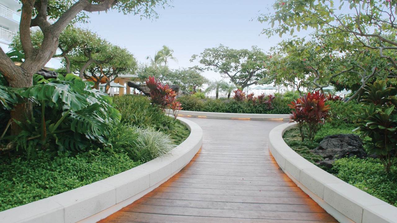 Photo of Outdoor in Waikiki