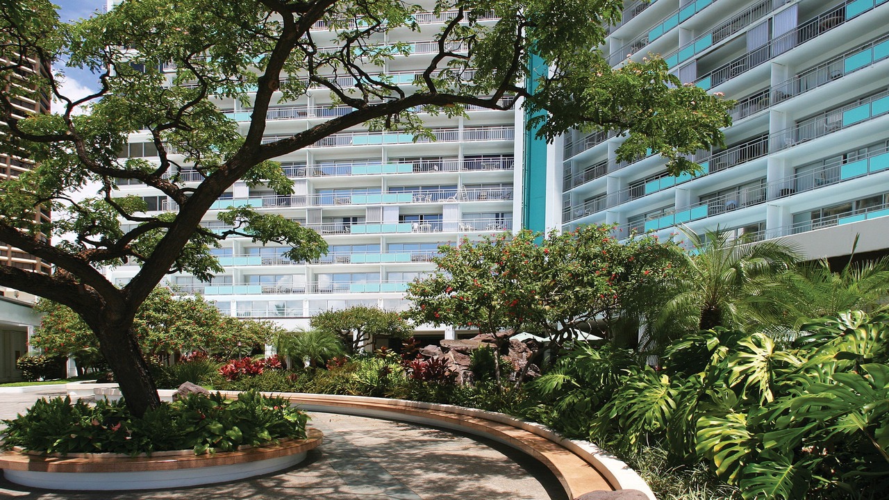 Photo of Others in Waikiki