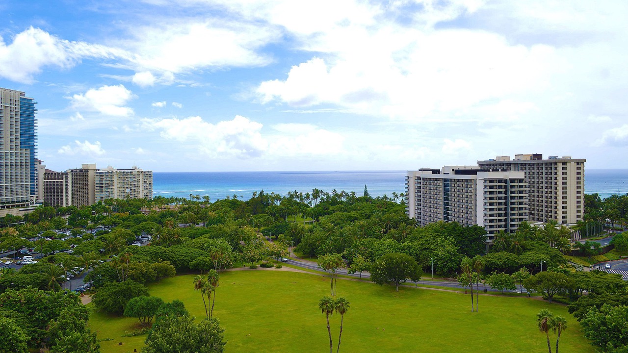 Photo of Others in Waikiki