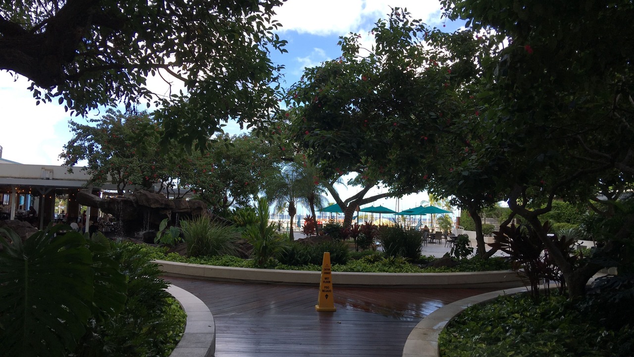 Photo of Outdoor in Waikiki