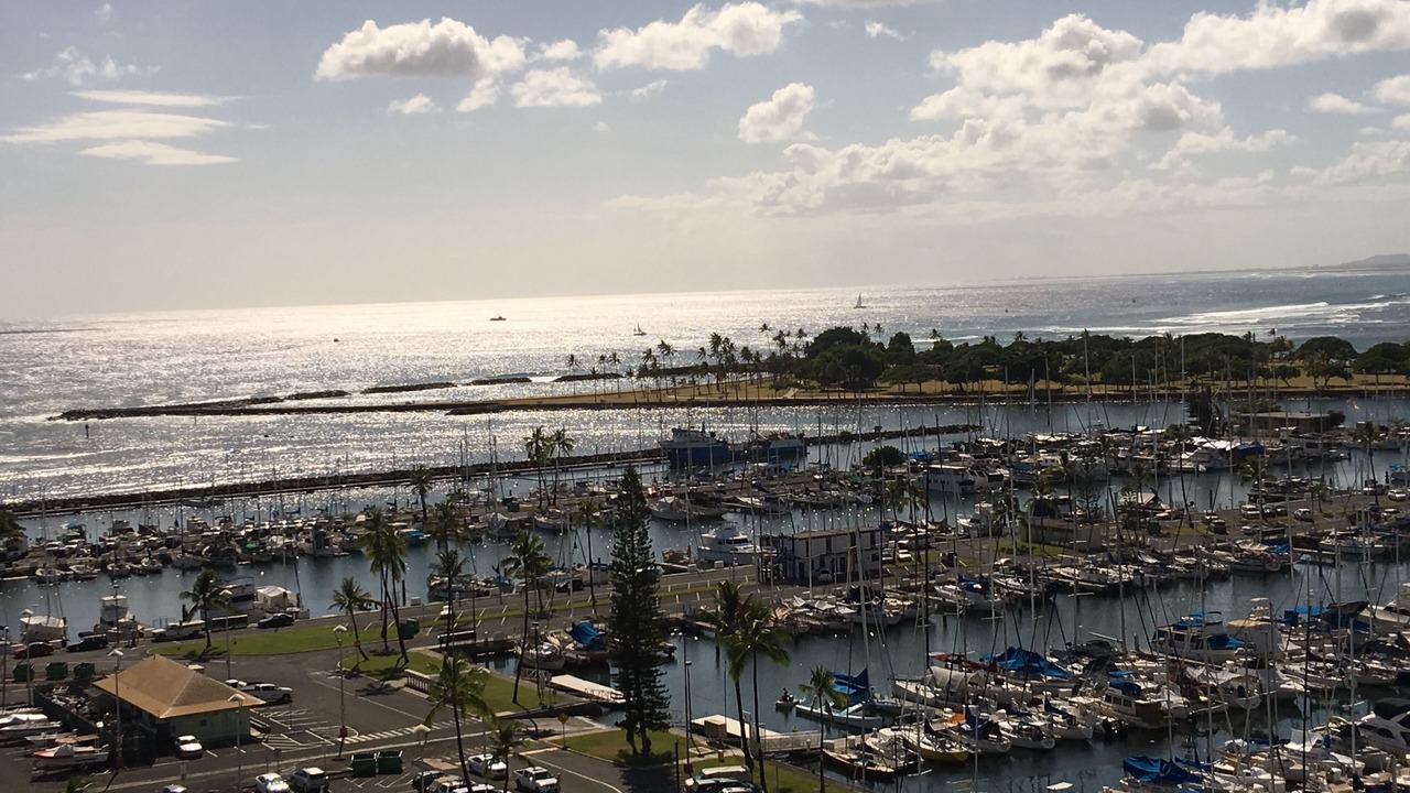 Photo of Outdoor in Waikiki