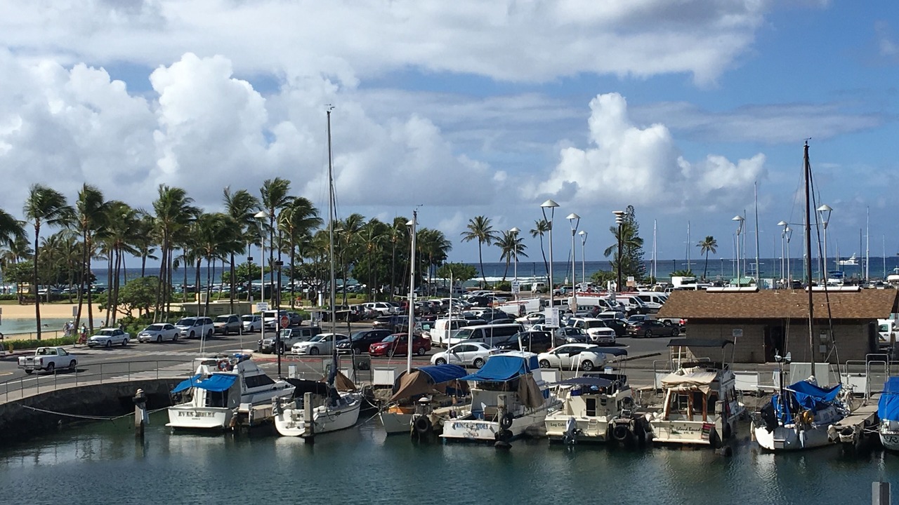 Photo of Others in Waikiki
