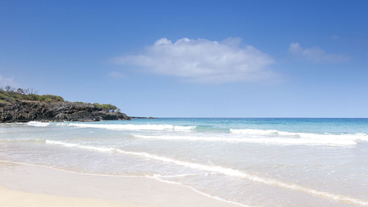 Photo of Others in Kulalani