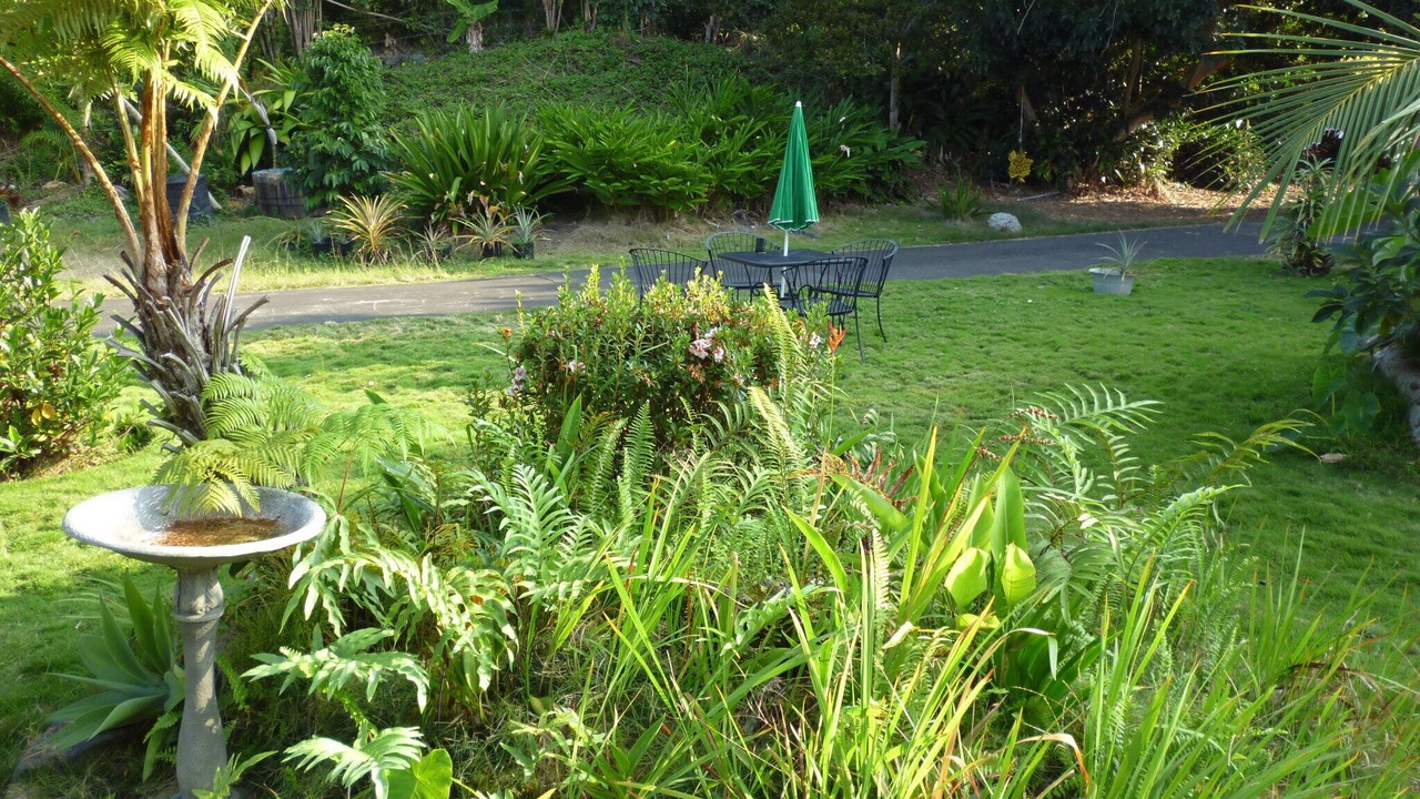 Photo of Outdoor in Honaunau-Napoopoo