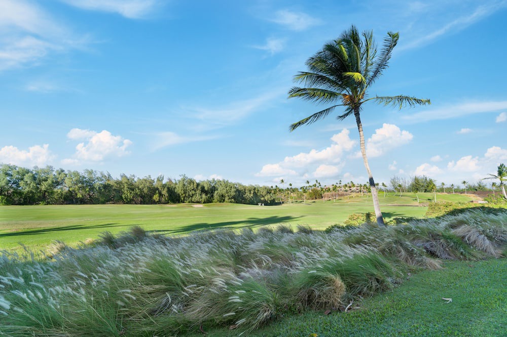 Photo of Others in Waikoloa
