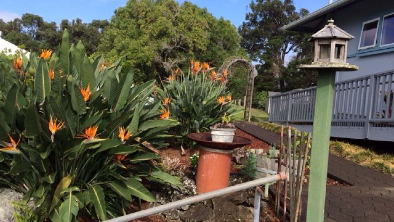 Photo of Outdoor in Waimea