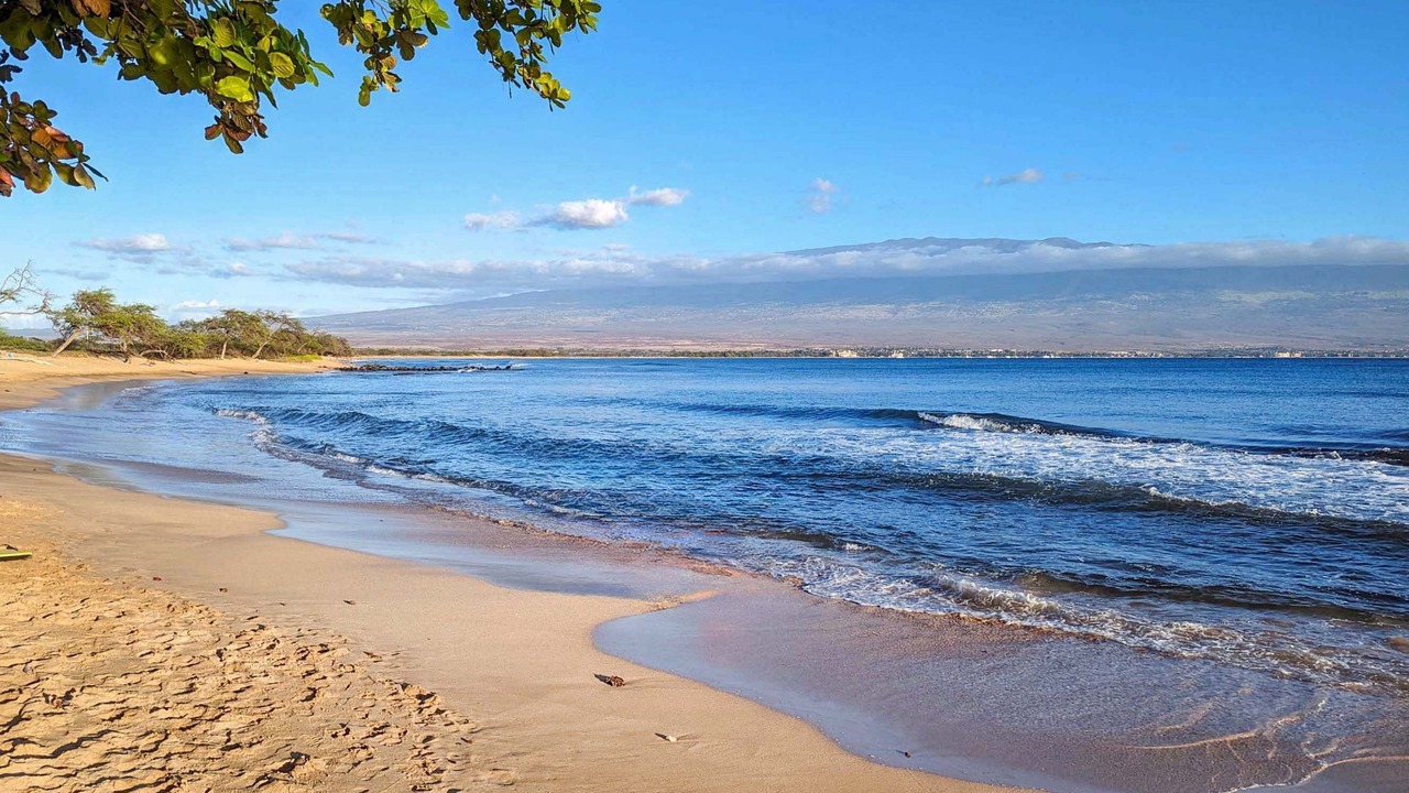 Photo of Others in Maalaea