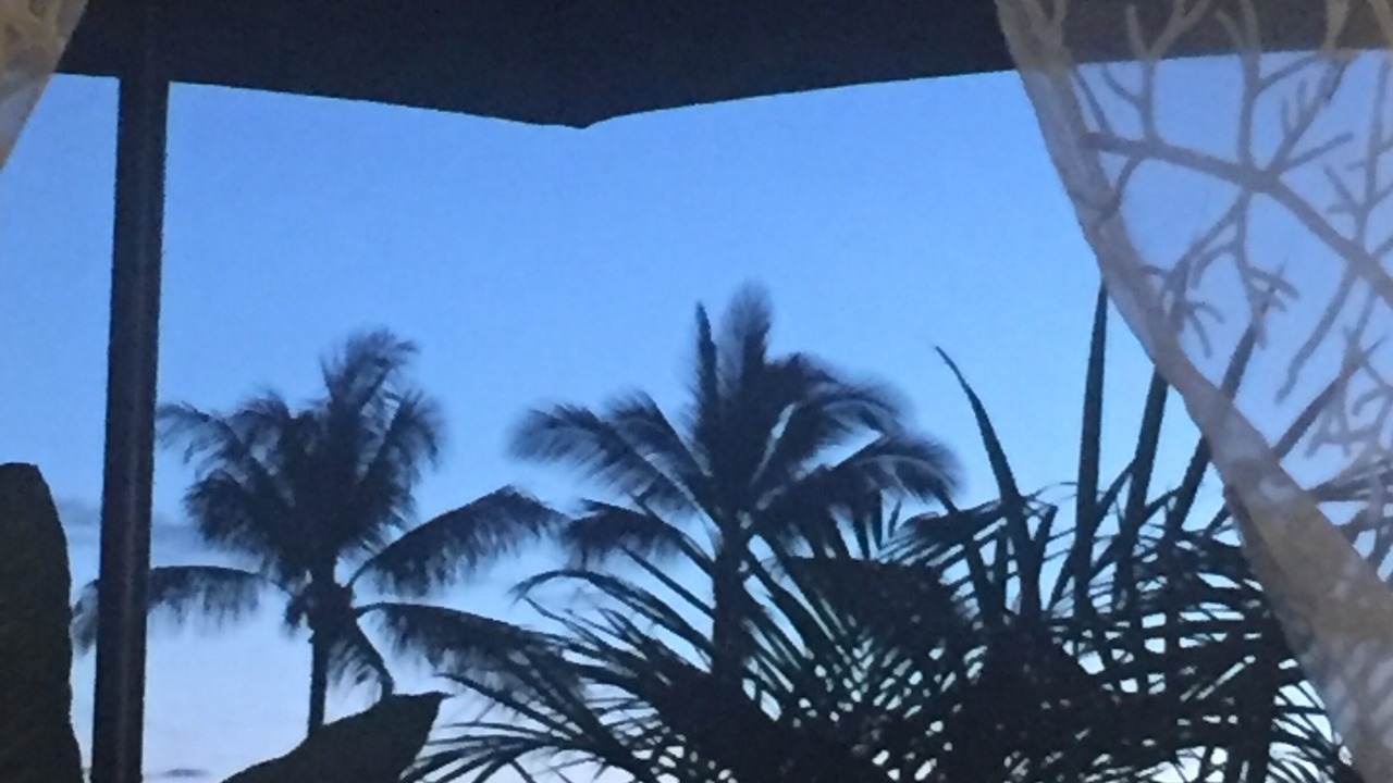 Photo of Others in Makaha Valley