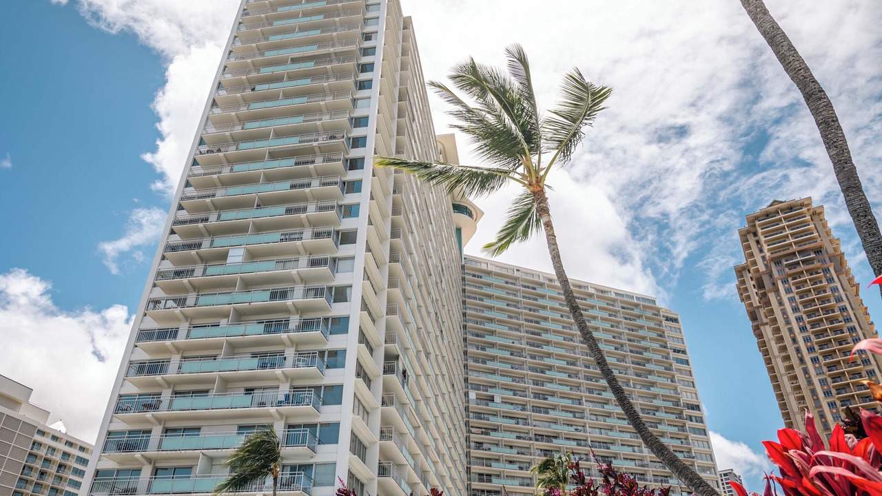 Photo of Others in Waikiki