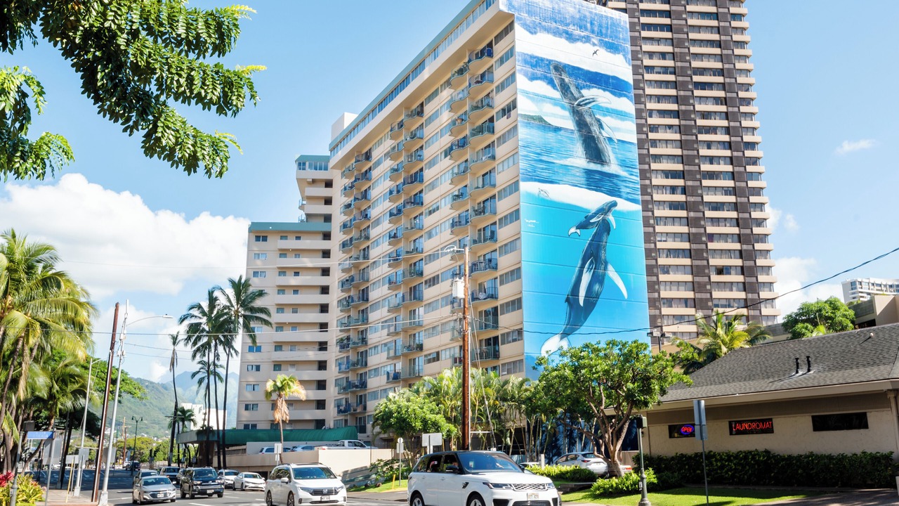 Photo of Outdoor in McCully - Moiliili