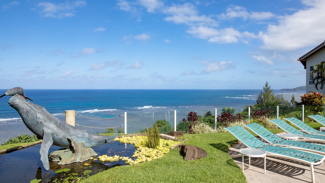 Photo of Others in Princeville