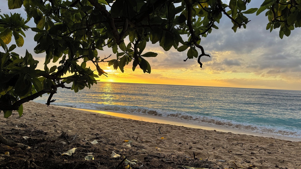Photo of Others in Pupukea