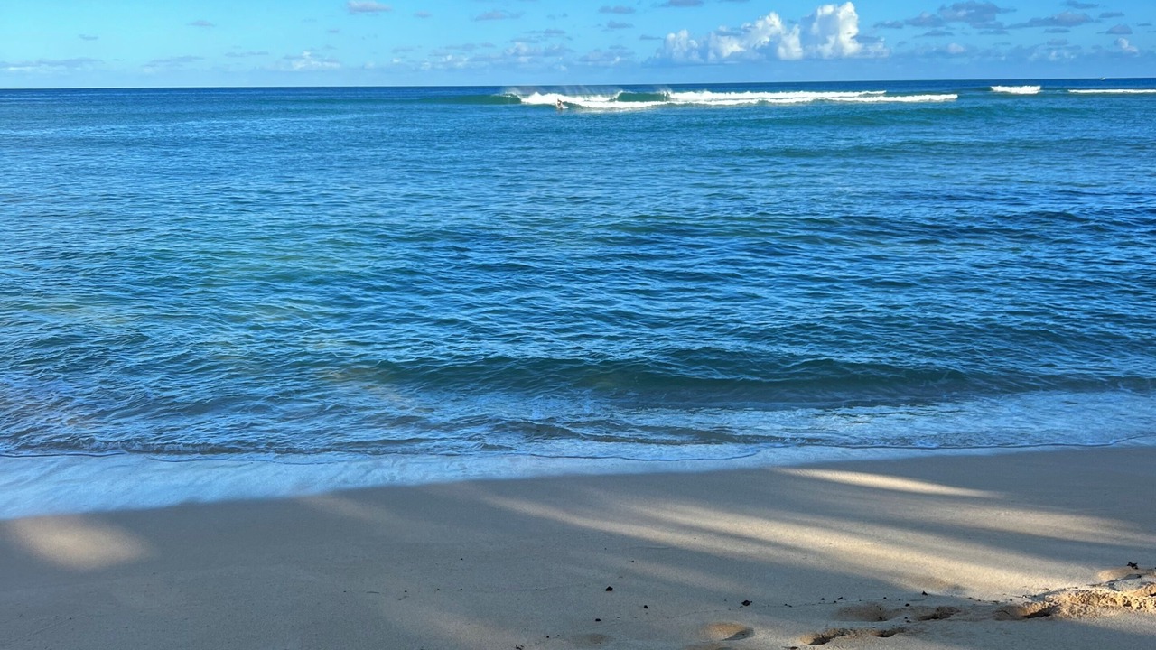 Photo of Others in Pupukea